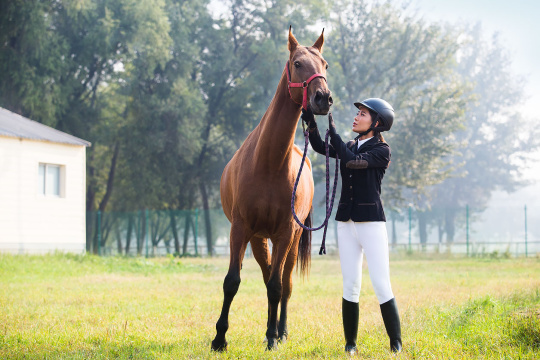 年轻女子牵着一匹马