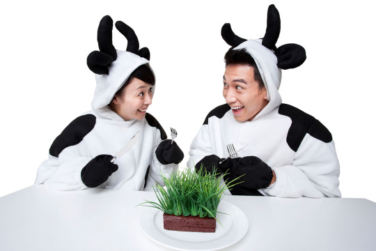 创意奶牛吃青草蛋糕