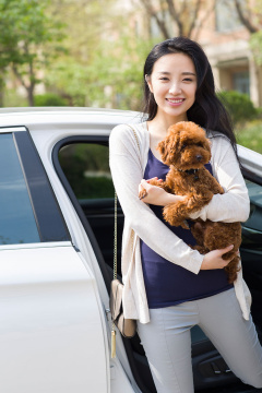 年轻女子带着宠物狗下车