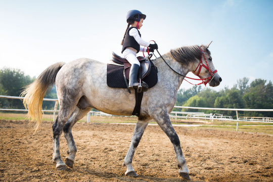 快乐的小女孩骑马