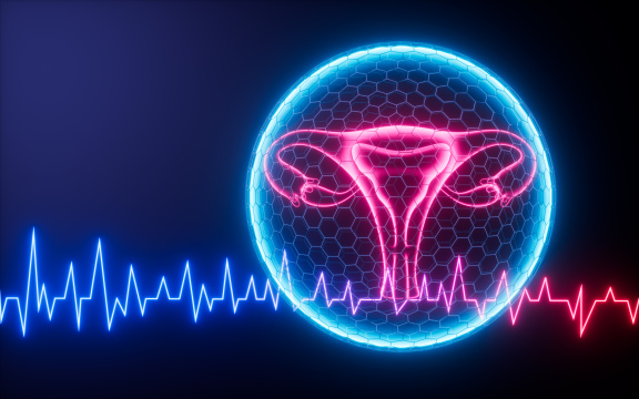 女性子宫解剖图与盾牌保护3D渲染