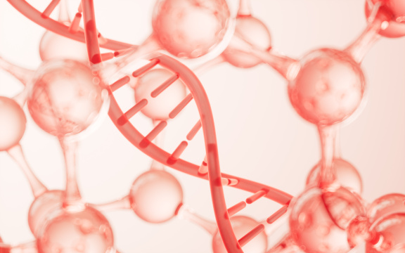 球形分子中的DNA3D渲染