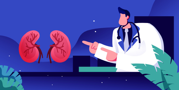 卡通手绘医疗肾脏治疗肾脏健康闪屏插画