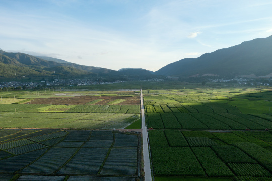 中国云南大理沙溪田园风景