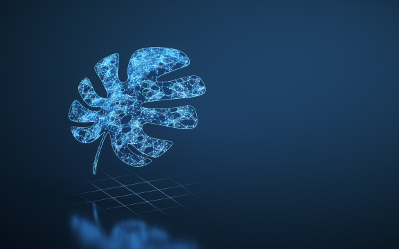 线条结构植物龟背竹叶子 3D渲染