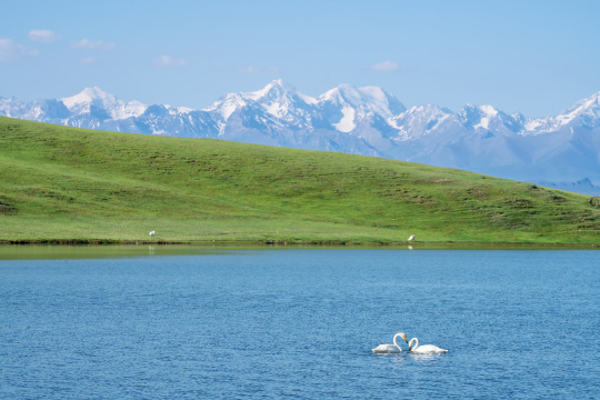中国新疆伊犁巴音布鲁克草原风景