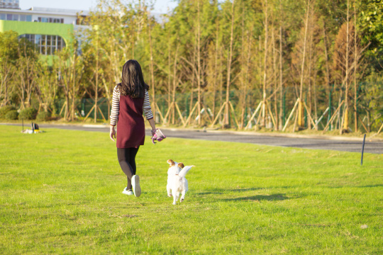 宠物狗与女主人，公园背景