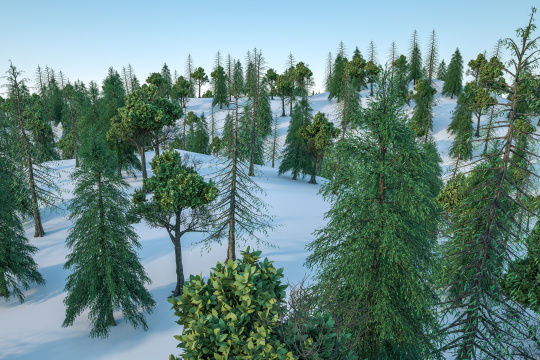 三维渲染，森林与雪地