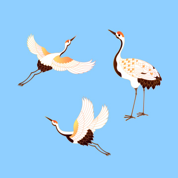 在空中飞翔的鹤矢量插画