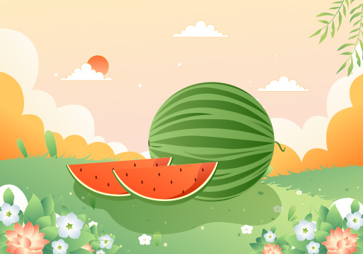 夏天清爽西瓜矢量插画