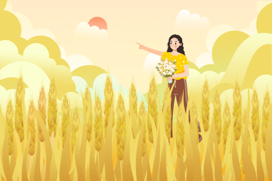 芒种节气金黄的麦穗生长谷物丰收卡通插画