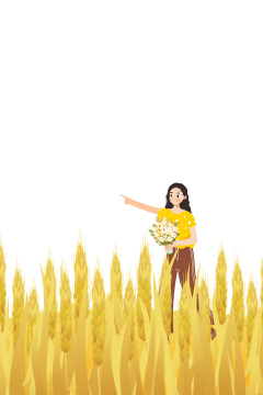 芒种节气金黄的麦穗生长谷物丰收卡通插画