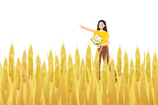 芒种节气金黄的麦穗生长谷物丰收卡通插画