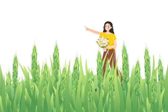 小满节气麦穗生长谷物丰收卡通插画