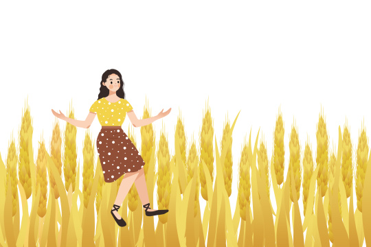 芒种节气金黄的麦穗生长谷物丰收卡通插画