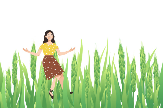 小满节气麦穗生长谷物丰收卡通插画