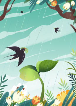 雨水节气下雨天植物发芽新生