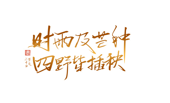 手写时雨及芒种 四野皆插秧艺术字