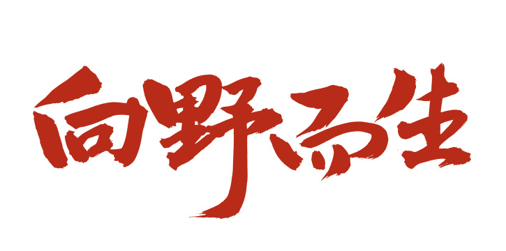 手书手写汉字书法字体向野而生