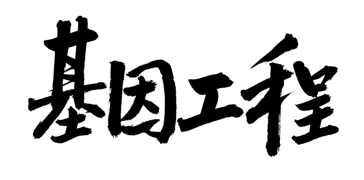 手书手写汉字书法字体基因工程
