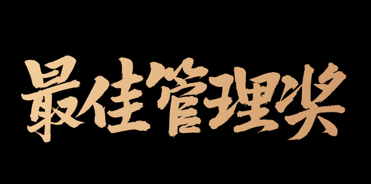 手书手写汉字书法字体最佳管理奖