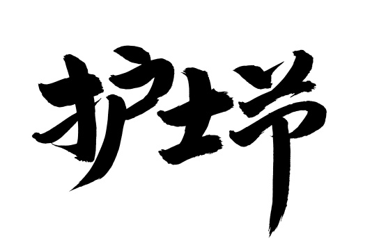 手写手书汉字书法字体字形护士节