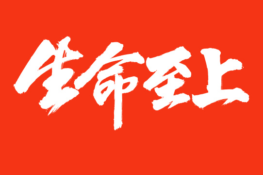 手写汉字书法字体生命至上
