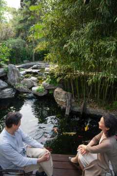 老年夫妇坐在院子里