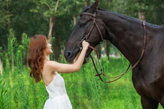 漂亮的年轻女人和马儿玩耍