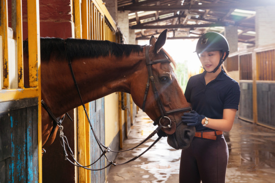 马厩里的马和漂亮的年轻女人