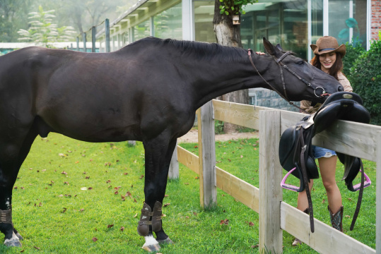 围栏旁的个性青年女人和马玩耍