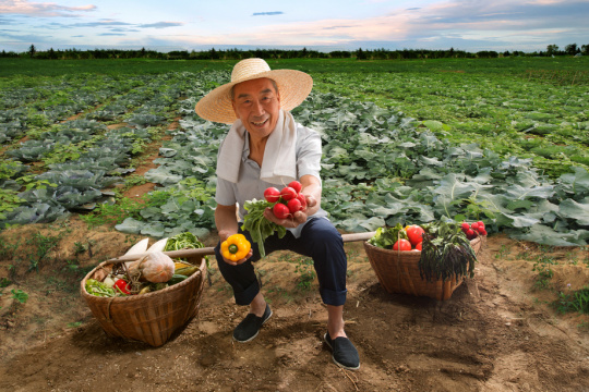 坐在田头的农民