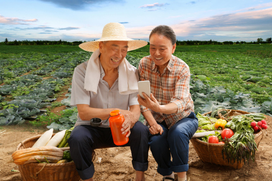 农民夫妇坐在田头看手机