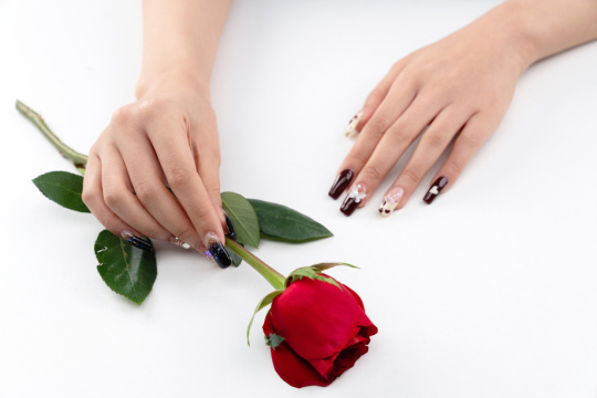 青年女人拿着红玫瑰花