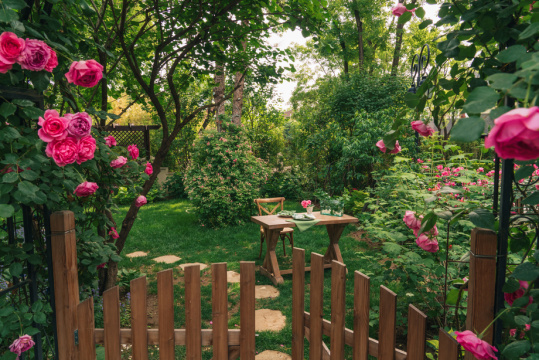 开满蔷薇的庭院