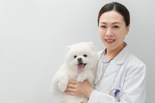 宠物医生抱着可爱的小狗
