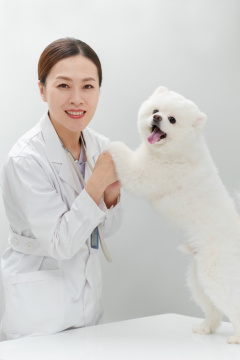 宠物医生和可爱的小狗