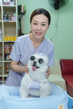 宠物店的青年女人装扮时尚小狗