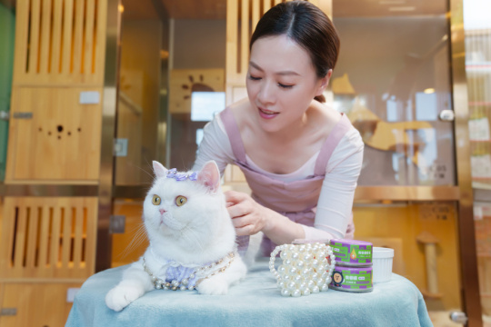 宠物店的青年女人装扮时尚猫咪