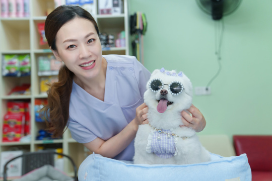 宠物店的青年女人装扮时尚小狗