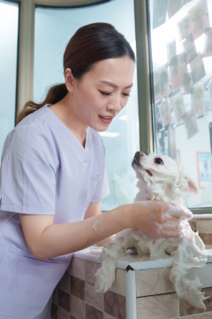 宠物美容师给狗洗澡