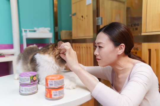 宠物店的青年女人装扮猫咪