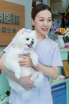 宠物医生抱着小狗