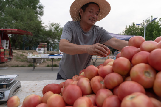 卖西红柿的商贩