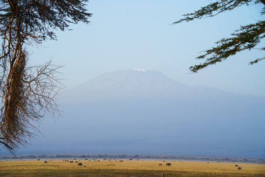 非洲肯尼亚草原