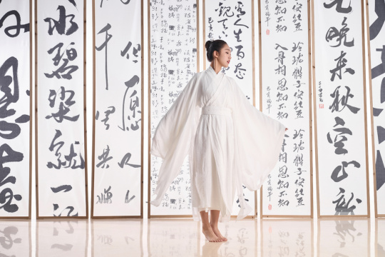 一位中国古装美女站在书法作品前