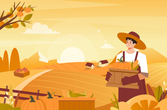 秋季大丰收插画