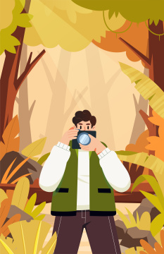 秋天森林摄影插画