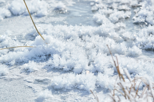 冬天野外溪水冻结冰层上的冰凌花冰松结晶