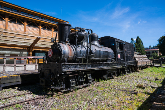 台湾省阿里山小火车